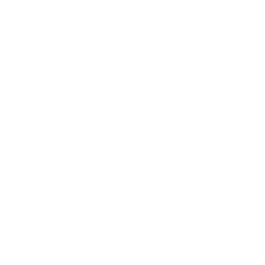 lebenslange Garantie Icon 