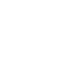 Mobilitätsgarantie Icon