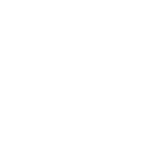 geprüfte Sicherheit Icon